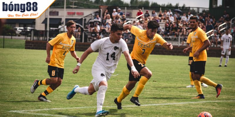 Sử dụng thông tin chính xác